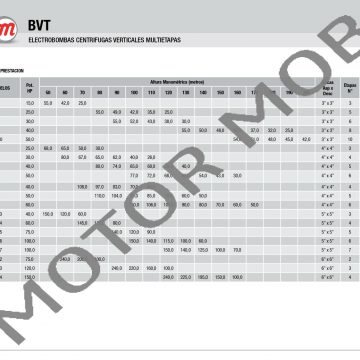 BVT_page-0003